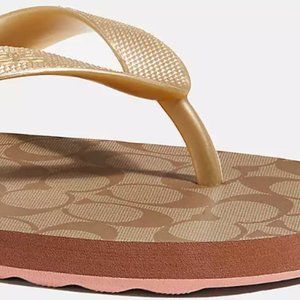 Coach Flip Flop Rubber Sandals Signature Print CC Logo Size 7 Khaki Gold